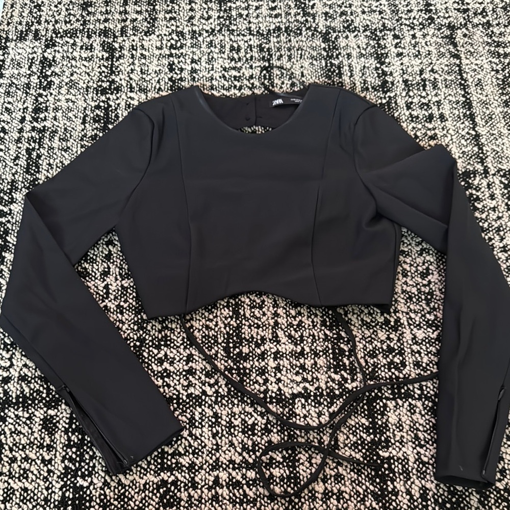 Zara Elegant Black Long Sleeve Crop Top